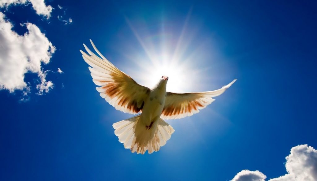 The Holy Spirit descending as a dove. 