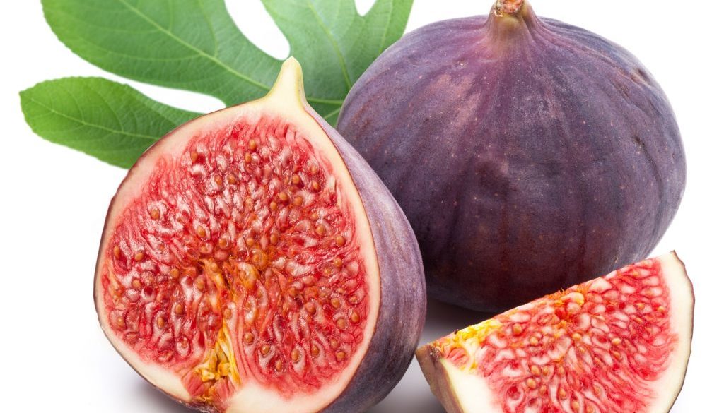 Fresh figs for the picking