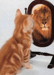 Which side of the mirror will you feed?