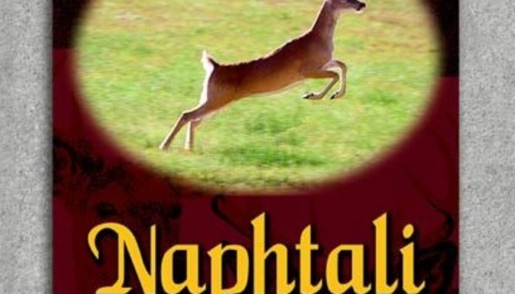 1 Chronicles 7:13 Naphtali’s Tribe