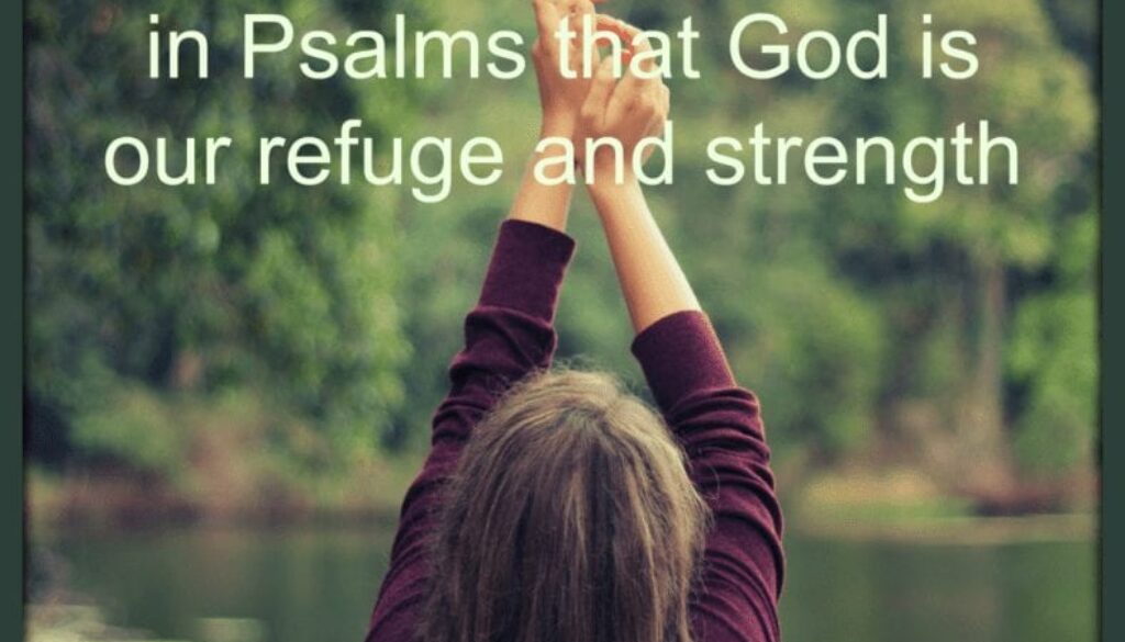 Psalm 11:1-7 My Refuge