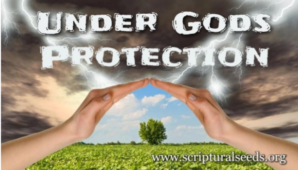Psalm 17:1-15 Protection