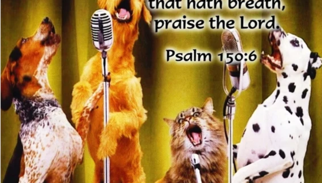 Psalm 150:1-6 EVERYTHING Praise Him