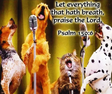 Psalm 150:1-6 EVERYTHING Praise Him