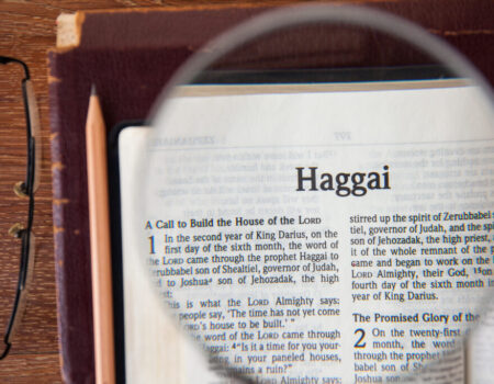 Haggai 1:1-11 Refocus