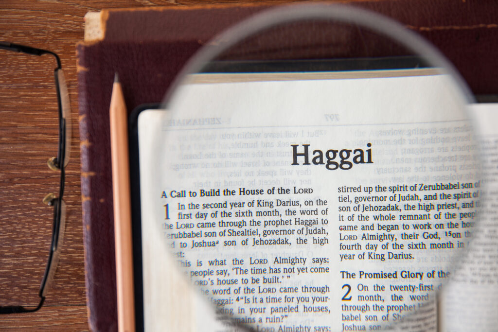 Haggai 1:1-11 Refocus | If I Walked With Jesus